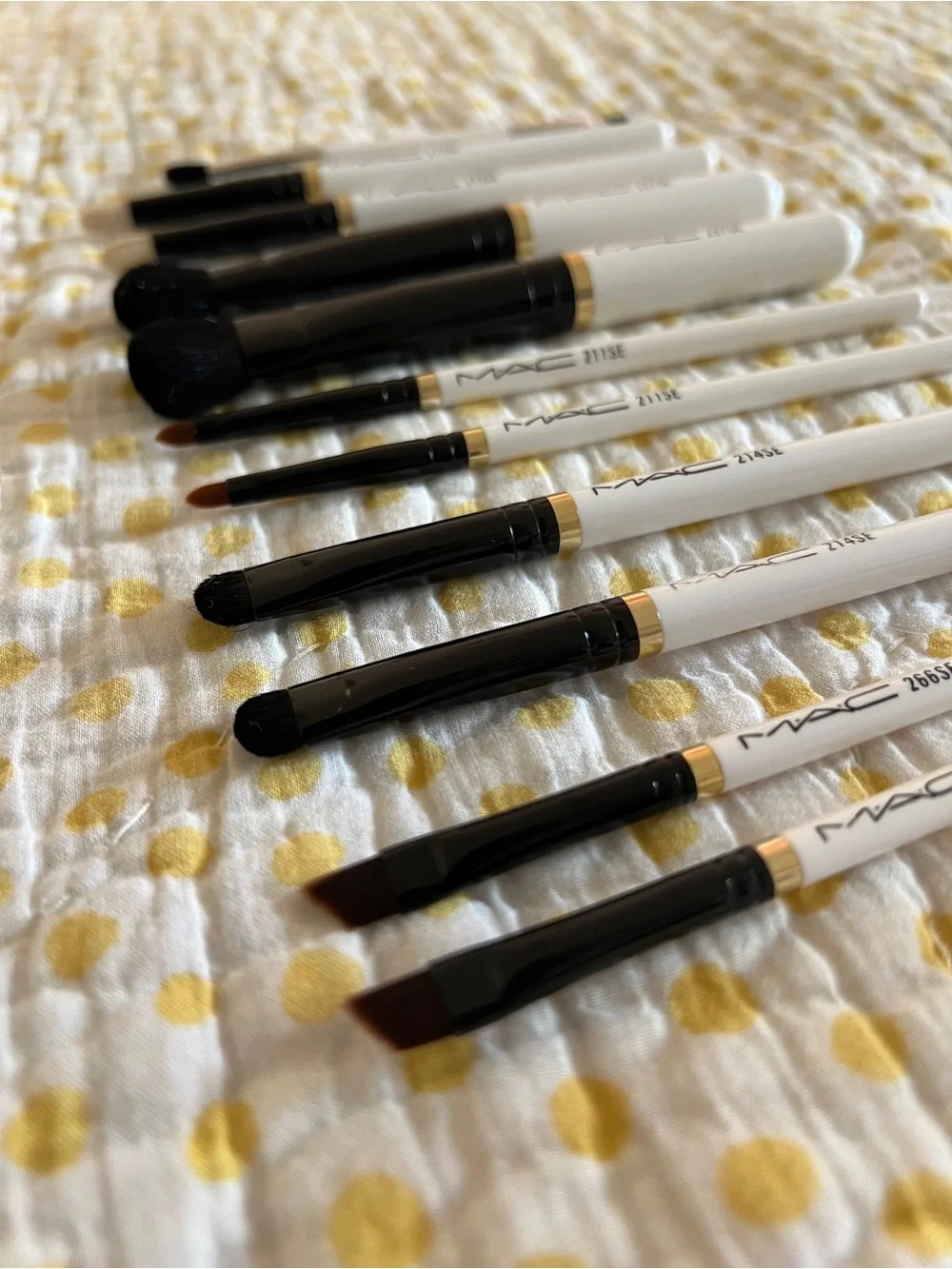 12PC MAC Makeup Brush Set with Clear Zip Pouch